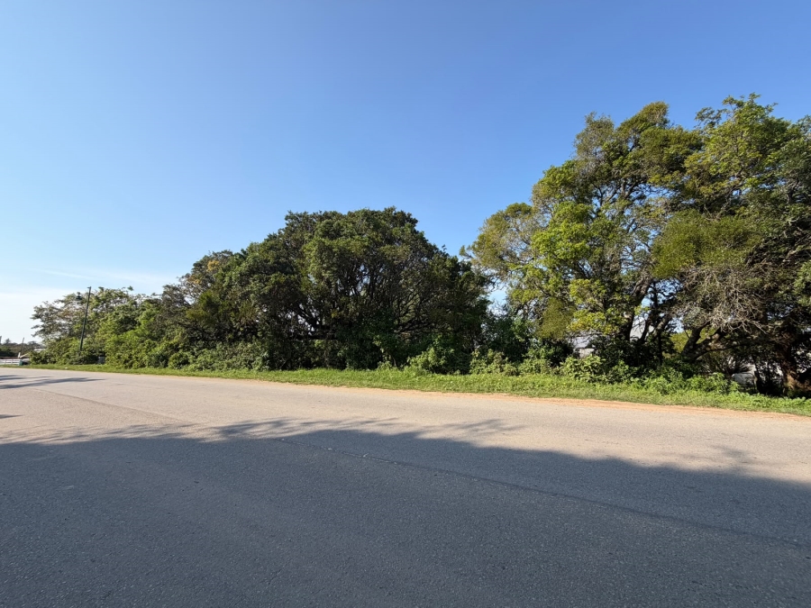0 Bedroom Property for Sale in Bathurst Eastern Cape